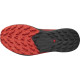 Salomon Sense Ride 5